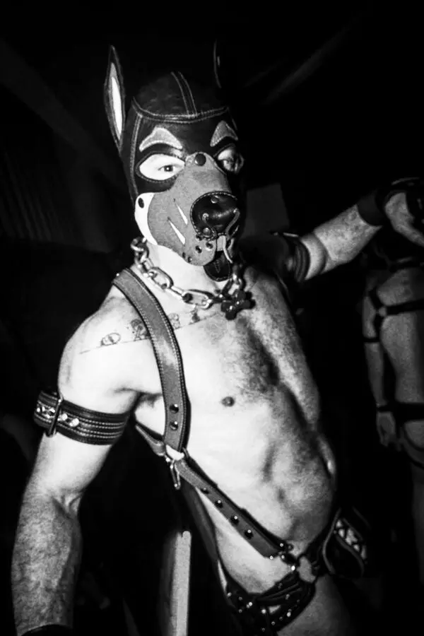 Man in a puppy hood and chain collar